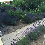 Apartmán Viktoria *
