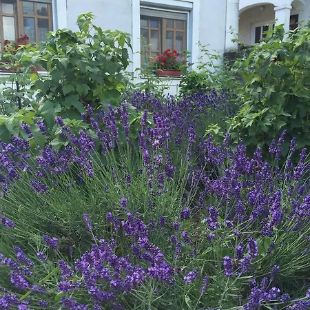 Viktoria *