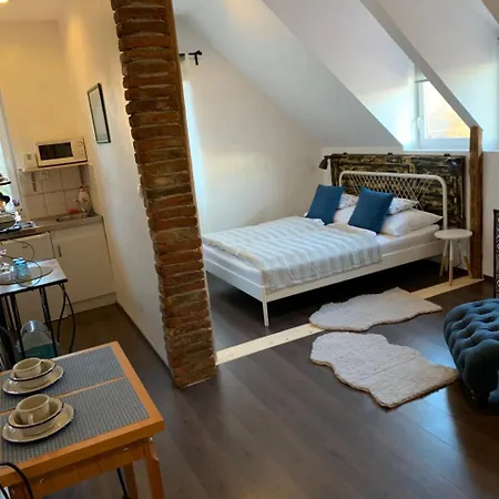 Apartment Viktoria *